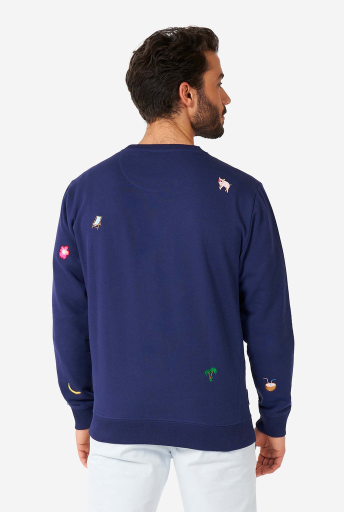 Man wearing blue sweater with summer icons, view from the back