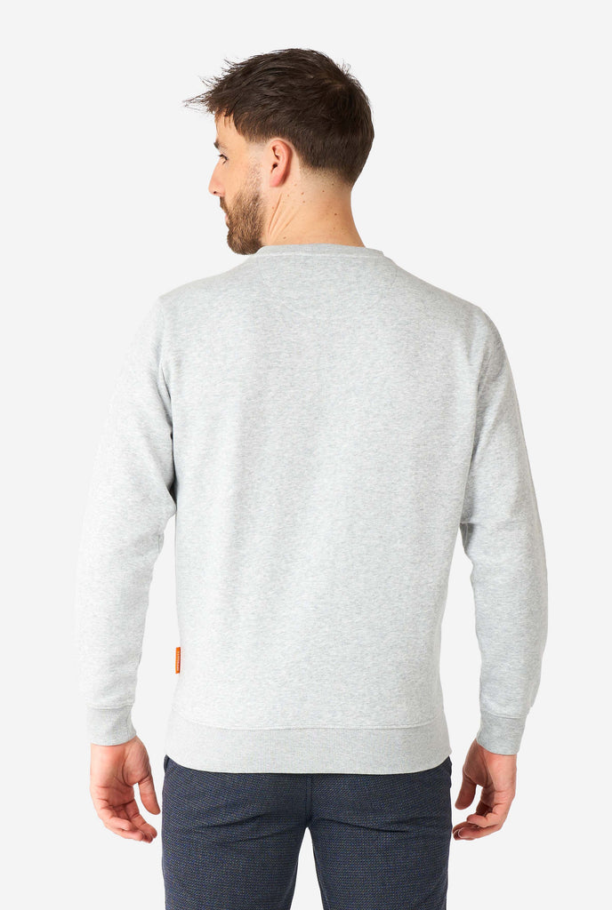 Man wearing grey Pizza Party quote sweater, view from the back