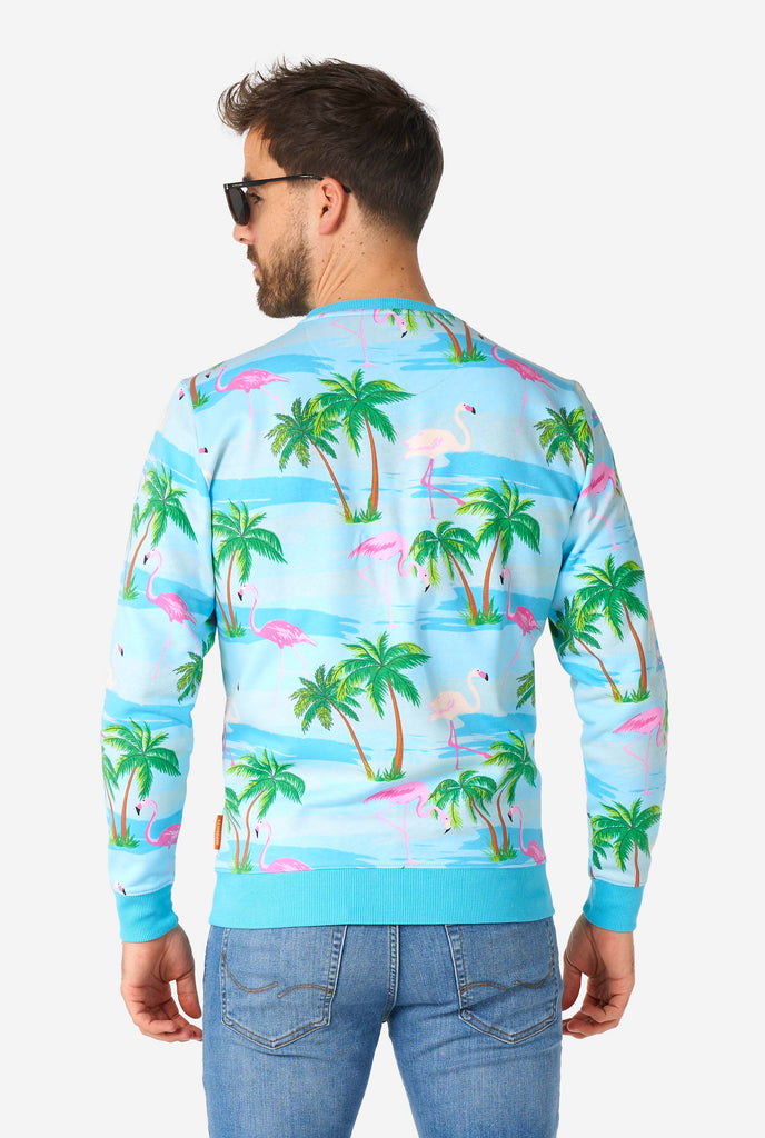 Man wearing blue sweater with tropical flamingo print, view from the back